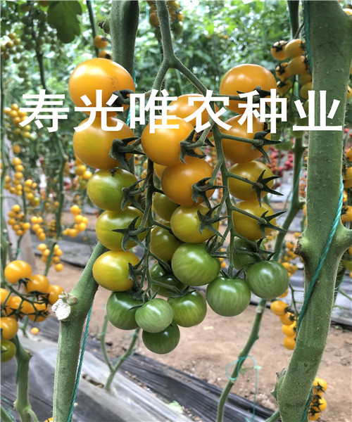 C134755D0B30B0137C66085EBEF9CCFB_副本.jpg