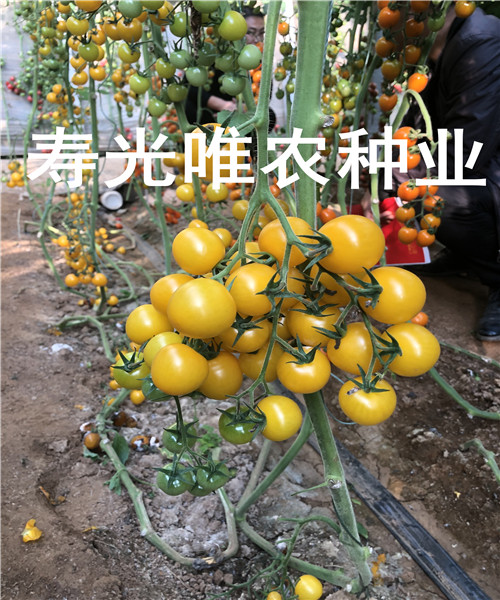 863389EEE5004081864B640481E371D1_副本.jpg